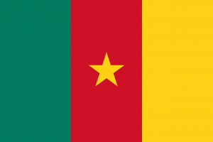 cameroonian flag