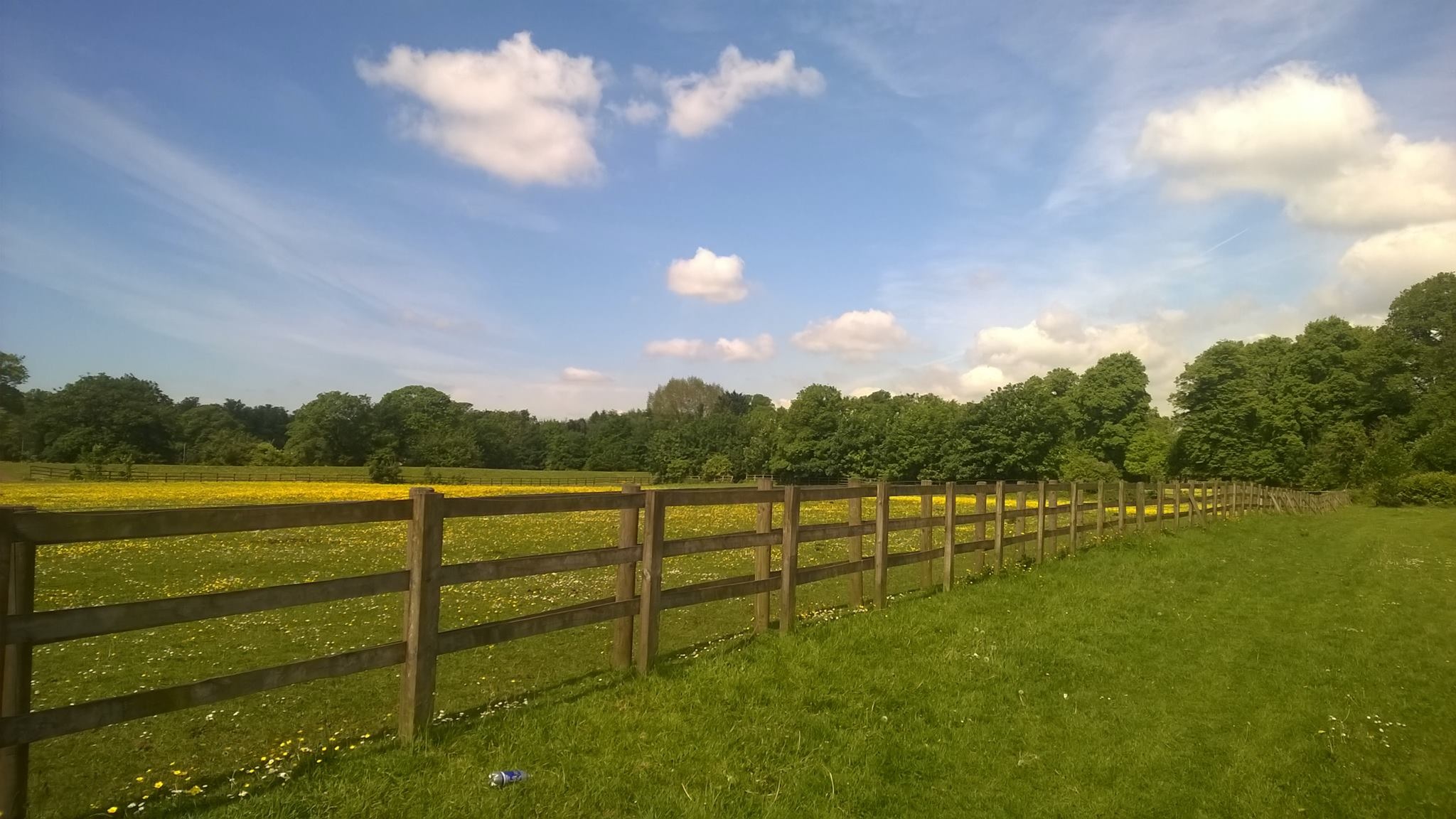 campo gramado e céu azul 